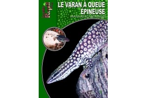 Le Varan à queue épineuse Guide Reptilmag